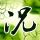 禁闭岛